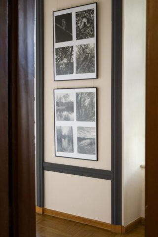 IMG_2918